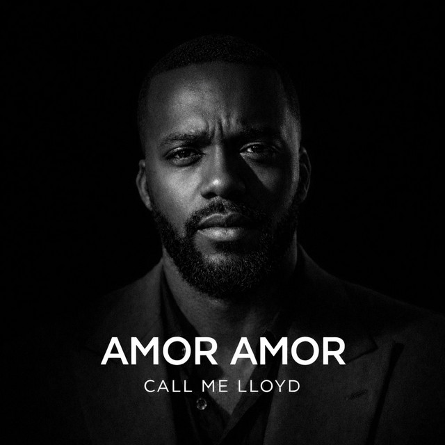 Pochette Amor Amor